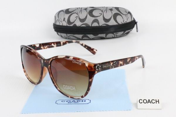 C0ACH Boutique Sunglasses 003